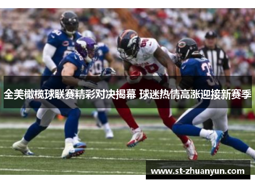 全美橄榄球联赛精彩对决揭幕 球迷热情高涨迎接新赛季