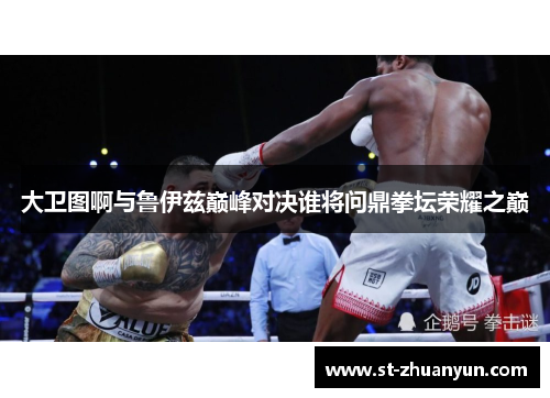 大卫图啊与鲁伊兹巅峰对决谁将问鼎拳坛荣耀之巅